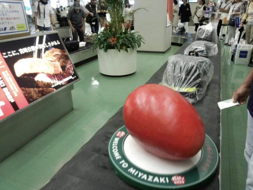 @etsuko_ichihara 宮崎ブーゲンビリア空港では「マンゴー」🥭 