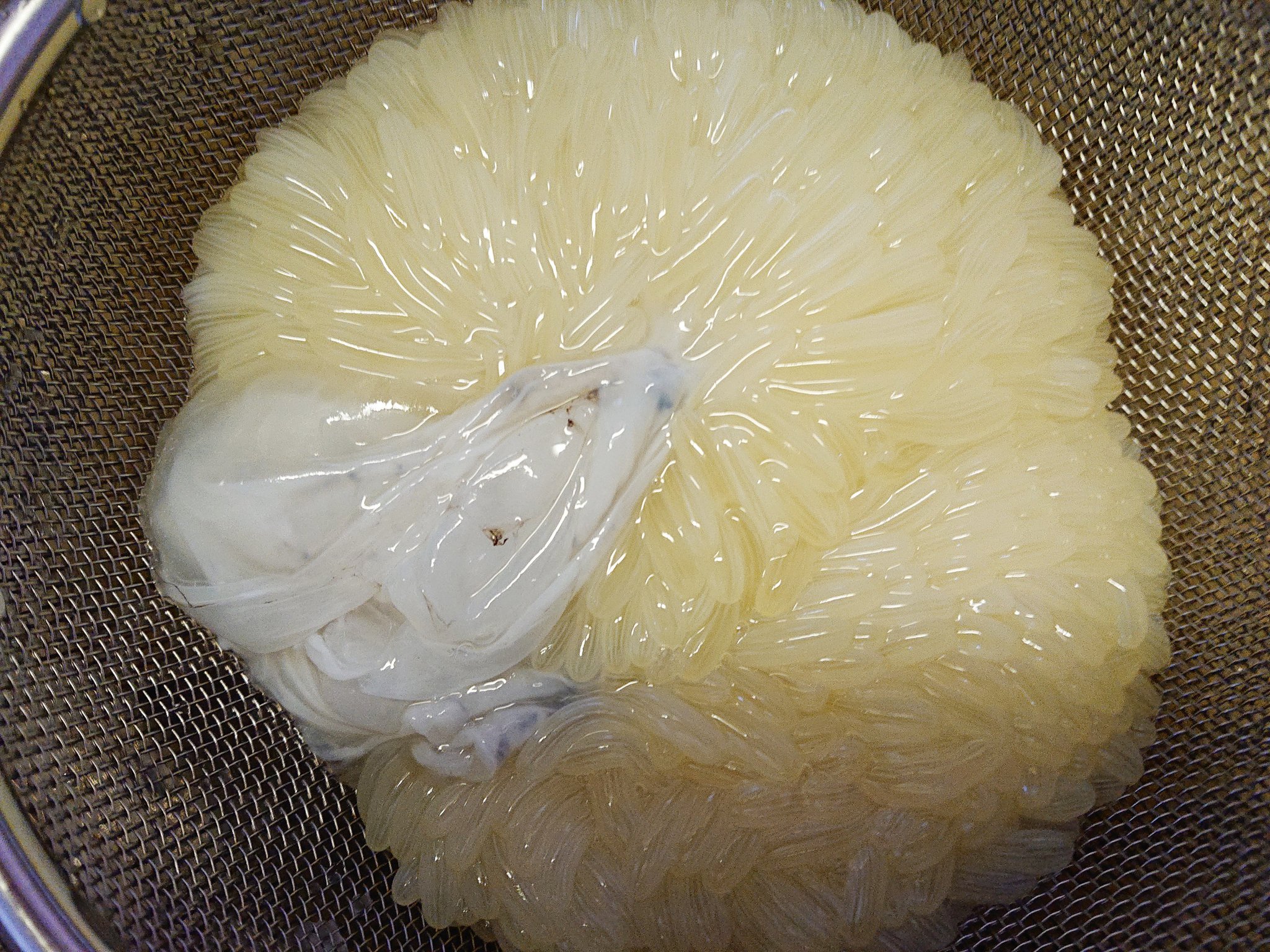 旭川医大寄生虫学講座 今日はね 寄生虫がいそうな魚が売ってなかったからね これ買ってきたよ 北海道に来て数年が経つけど 初めて食べます レッツトライ T Co Mzjw2oiaqw Twitter