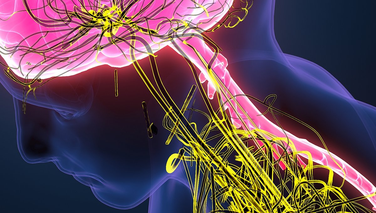inselgruppe's tweet photo. Public Private Partnership der Uniklinik für #Neurologie mit @CSLBehring macht in Europäischer Spitzenforschung mit: #Bio2Brain vernetzt Universitäten und Firmen, um Medikamente sicher und wirksam im Zentralnervensystem einzusetzen.
https://t.co/q5ZMpZqyZ1 https://t.co/PdS9kk5dSI