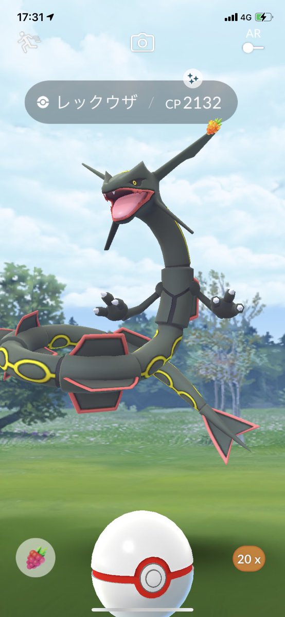 ShiraTaxi's tweet photo. 初✨
ようこそいらっしゃいました（っ'-')╮ =͟͟͞͞◒
#ポケモンGO
#色違い
#レックウザ https://t.co/tjNRuhNI5l