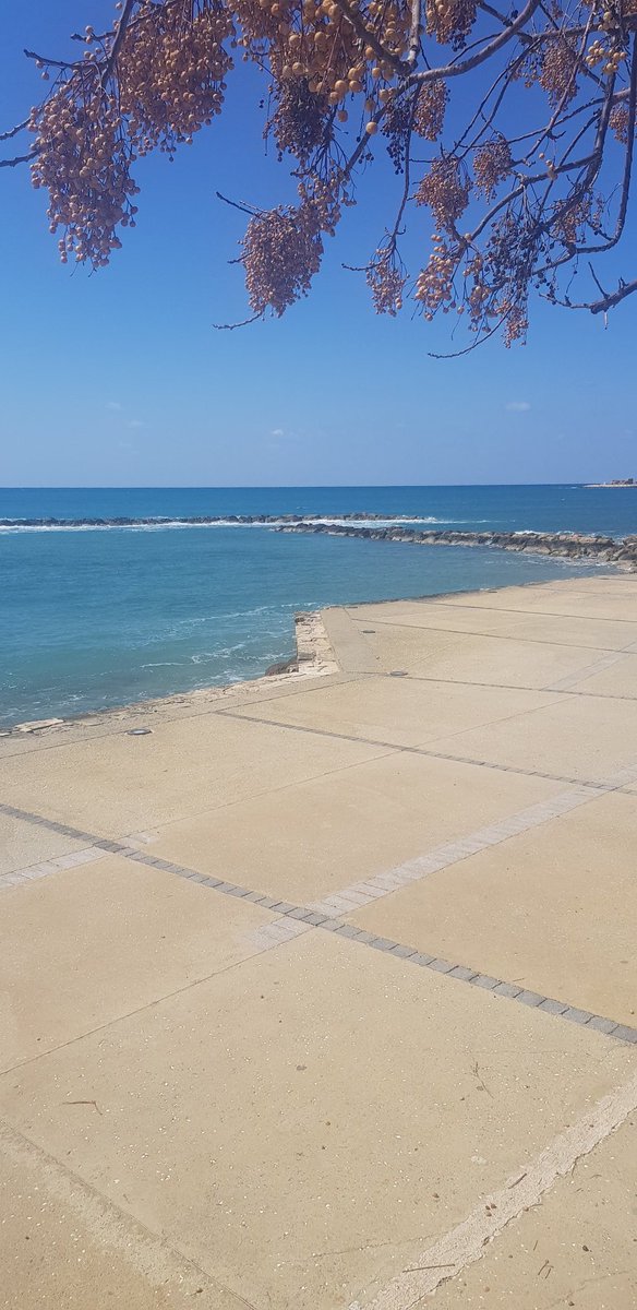 cp9Pe4QMO58HdQQ's tweet image. #justblue 🇨🇾🇬🇷🇨🇾🇬🇷🙏