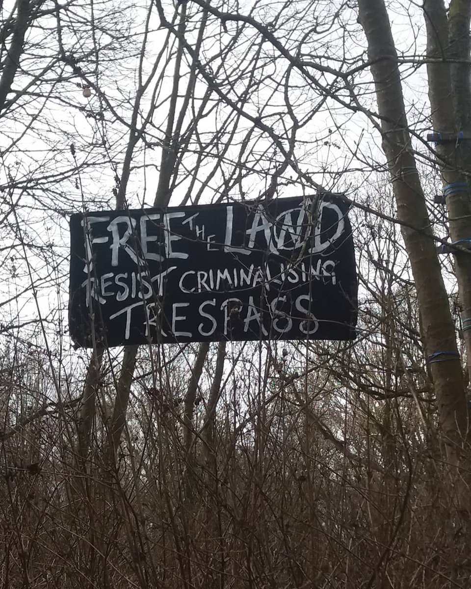 We are feeling so inspired by all the actions that took place up and down the UK on the 23rd, from Scotland to Devon, with a couple abroad too! We received pictures of banner drops, creative trespasses, occupations, postering, beautiful artwork, and big and small acts of protest.