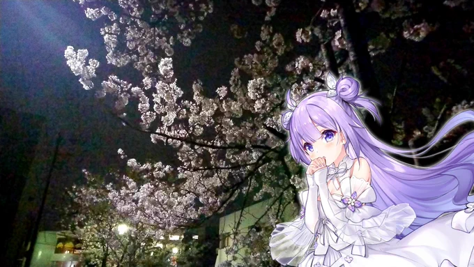 今日夜桜見に来て正解だった!🌸 