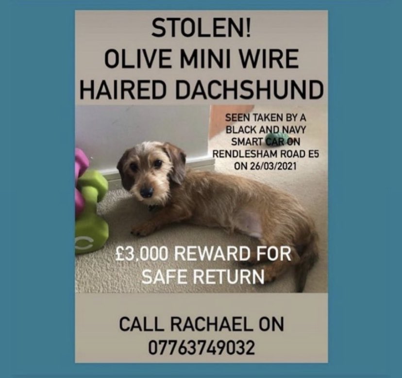 Please share and get little Olive home 🙏🏻🙏🏻🙏🏻 #FindOlive