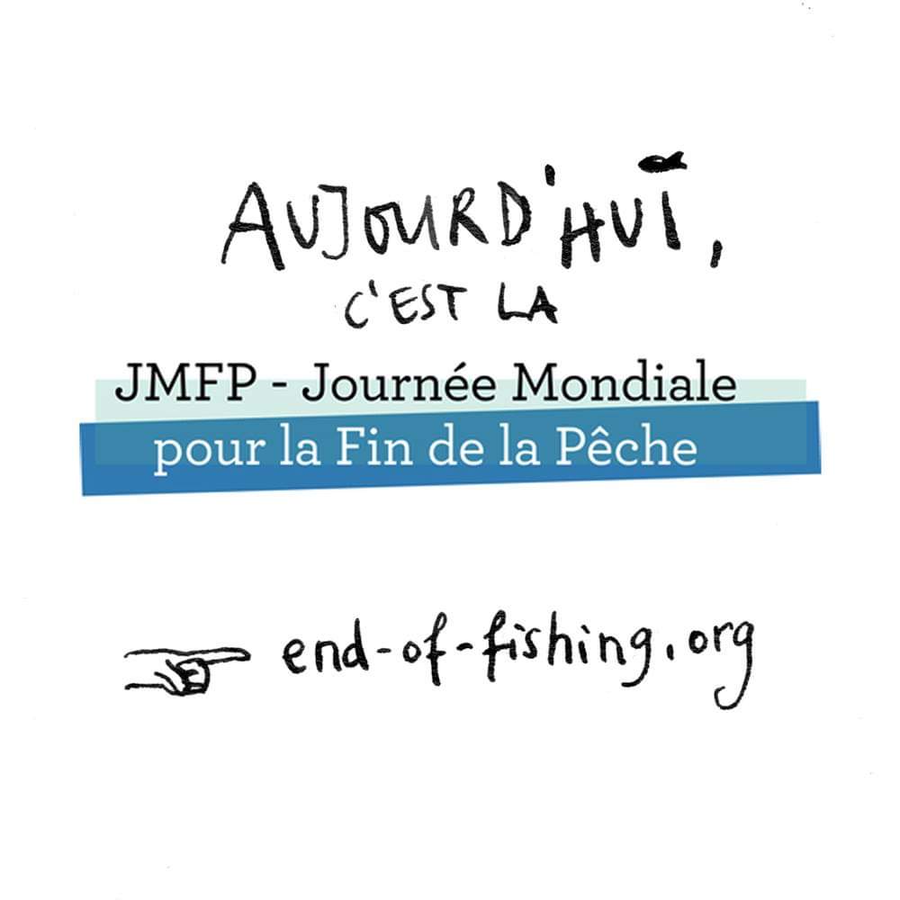 joanimaliste's tweet photo. Le 27 mars 2021, c'est la journée de lutte pour les poissons et autres animaux aquatiques, les plus nombreuses victimes du spécisme, et souvent les grands oubliés de la question animale.
#Poissons #animaux #stopspecisme #stoppeche https://t.co/ggUfk326Bu