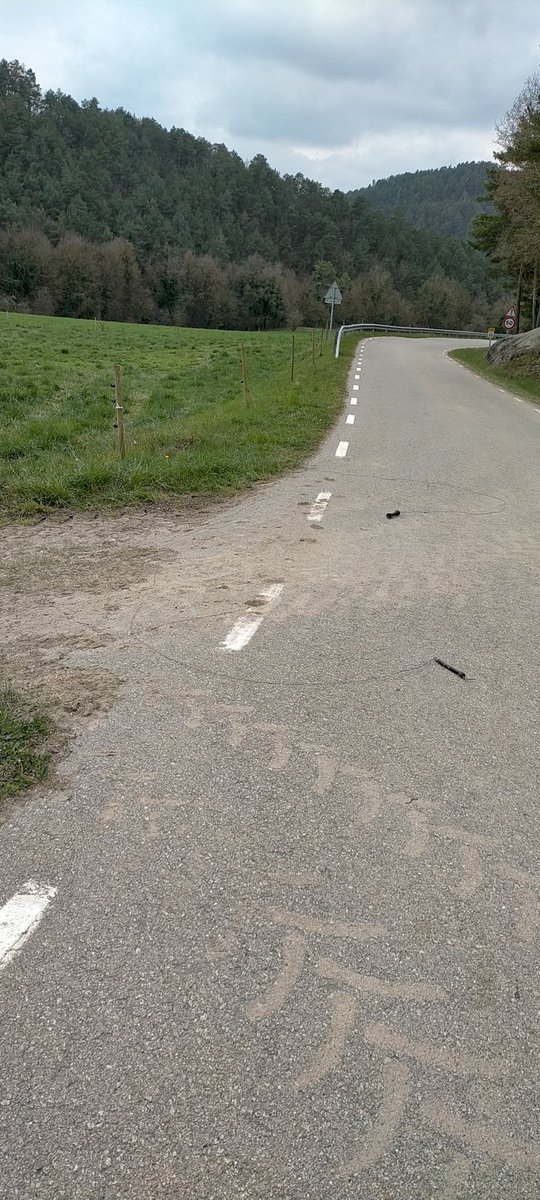 Xeviet de Borredà tweet media