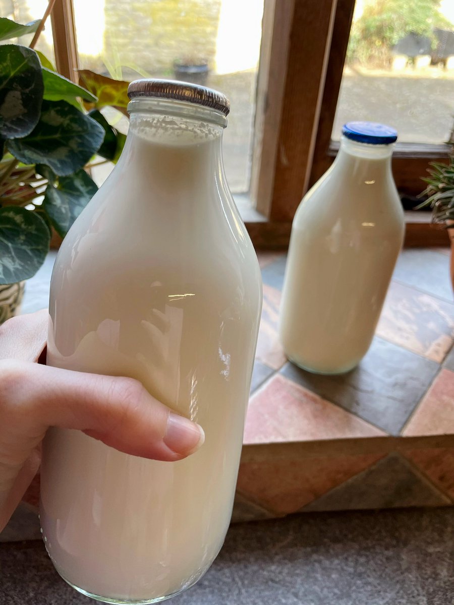omnialnchristo's tweet photo. After more than a decade my local area has reinstated the milkman 

- reusable glass bottles 
- local farmers  
- short supply chains https://t.co/ChnO3cw1WL