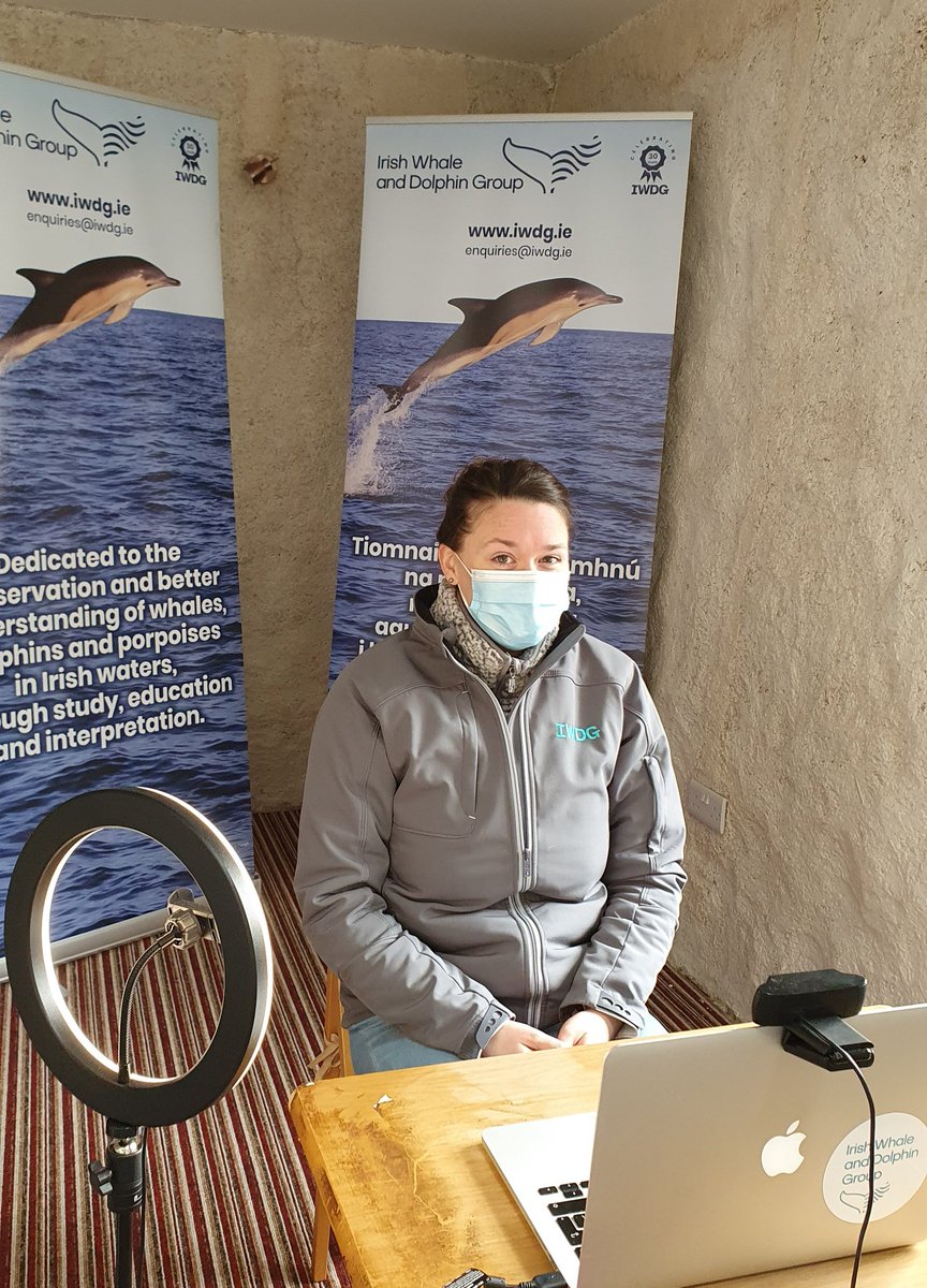 IWDGnews's tweet photo. Getting ready for our #strandingnetwork webinar #strandings #iwdg #whales https://t.co/atXYv185GF