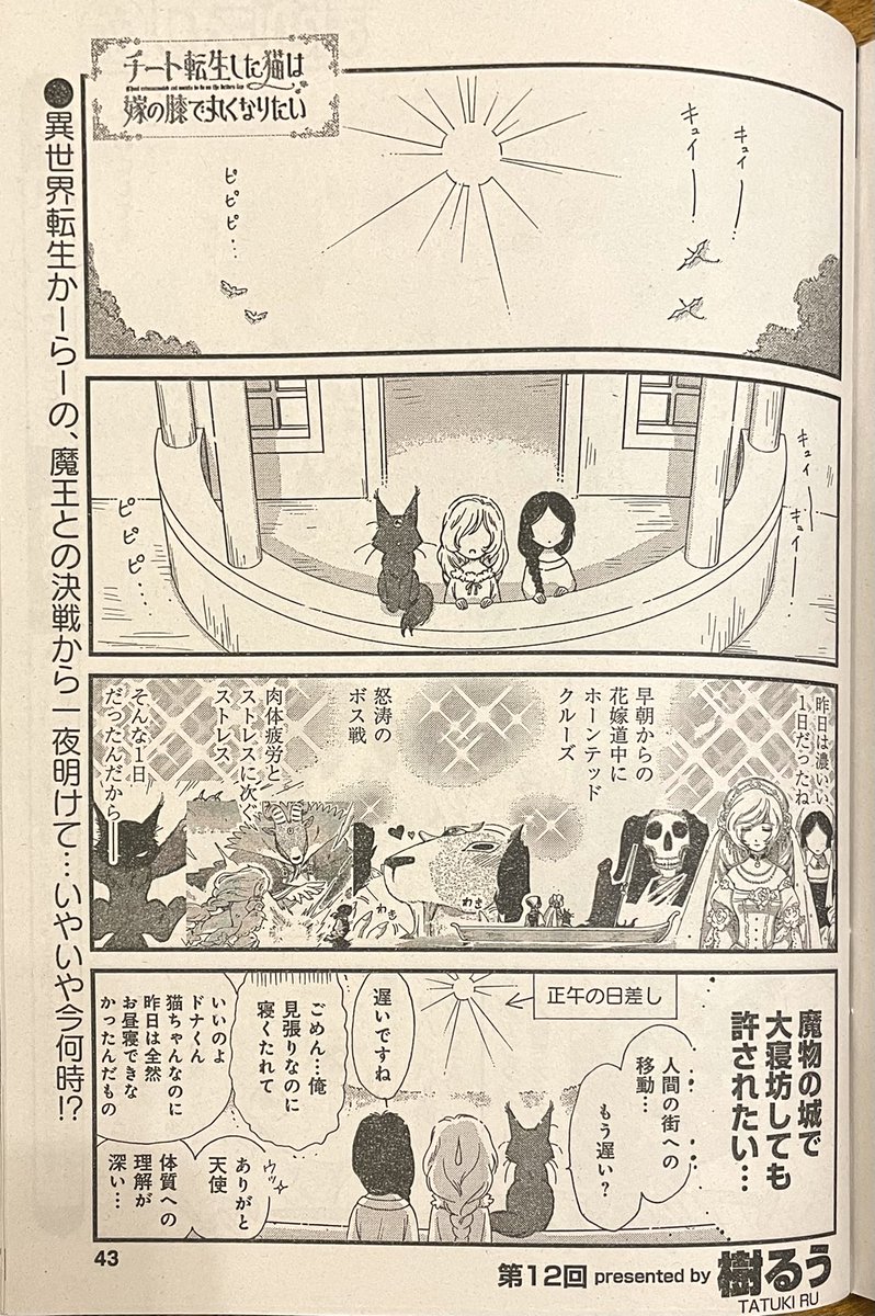 まんがライフ5月号、今日発売でした!イースターバニーのハルさんが目印です🐰元気に大寝坊をキメたうちの転生猫も、よろしくお願いします✨🙏✨ 