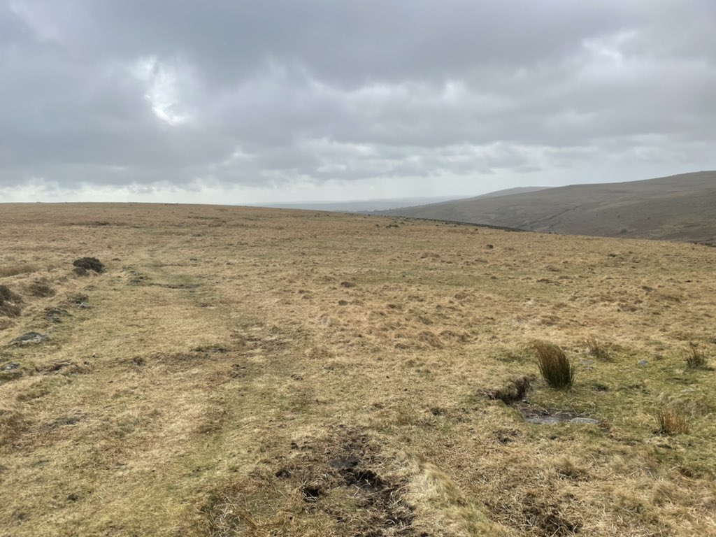 tomcarnac's tweet photo. Dartmoor this morning. This land is for sale - 3k acres - it may have  a haunting beauty but it is a desert. How wonderful it would be to return the wildlife and woodland to this land. Hard to see how we have any authority to push for forest conservation around the world if don’t https://t.co/OQy7TaqVeh