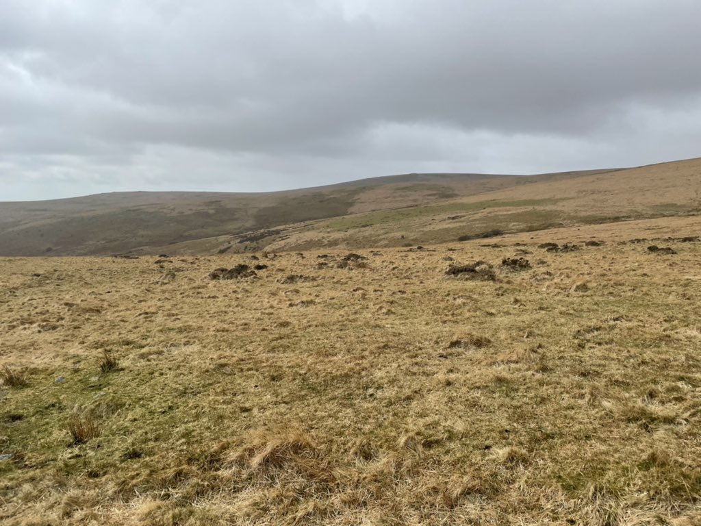 tomcarnac's tweet photo. Dartmoor this morning. This land is for sale - 3k acres - it may have  a haunting beauty but it is a desert. How wonderful it would be to return the wildlife and woodland to this land. Hard to see how we have any authority to push for forest conservation around the world if don’t https://t.co/OQy7TaqVeh