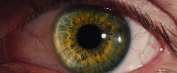 levmauc's tweet photo. I origins, 2014 (Dir. Mike Cahill) https://t.co/VYVRndyNQe