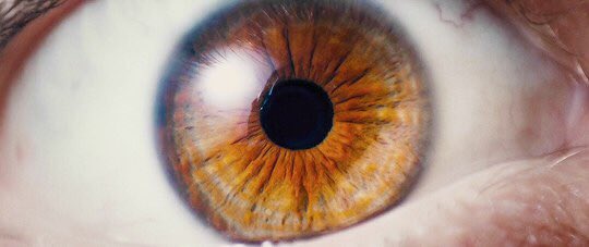 levmauc's tweet photo. I origins, 2014 (Dir. Mike Cahill) https://t.co/VYVRndyNQe