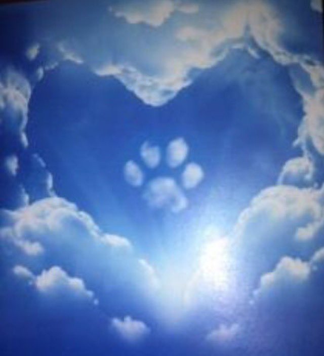 Jasmine OTRB🌈 tweet media