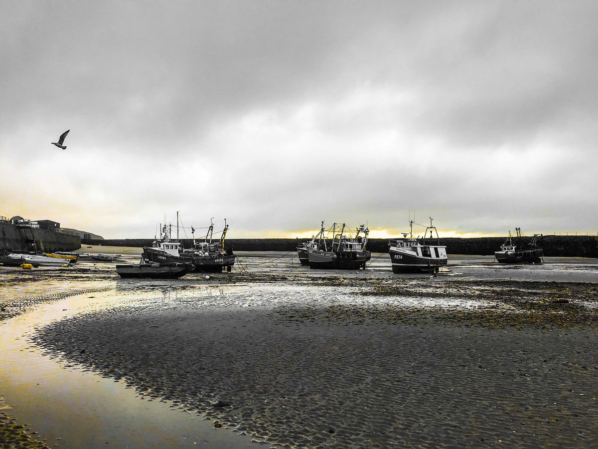 My Morning View tweet media