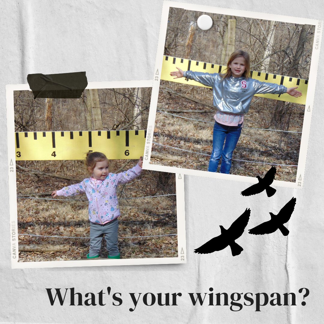 WildlifePrairiePark tweet media