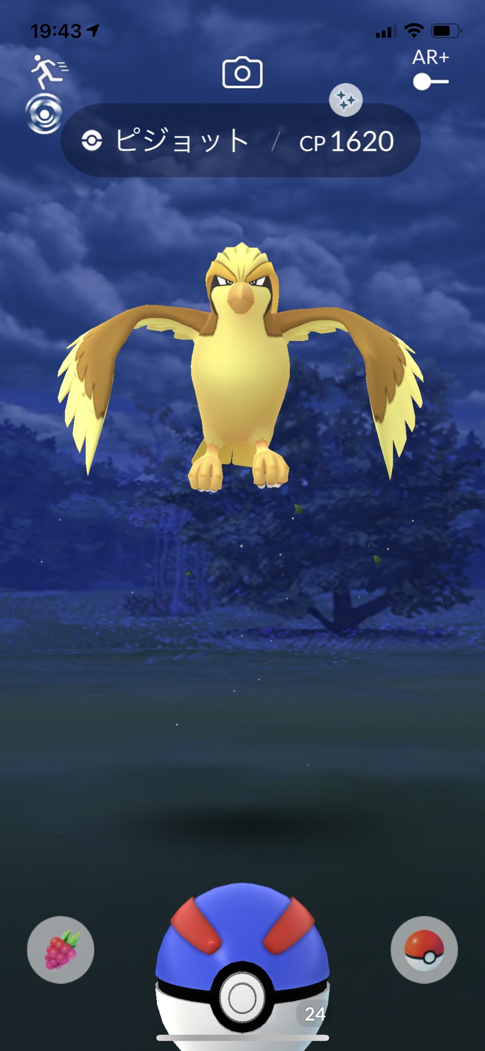 みぃな ヒチョ0902 黒レックウザに続いてピジョットの色違い 進化した色違いポケモンは初getだぁ ポケモンgo 色違い ピジョット 進化 T Co Zxqtiscdwh Twitter