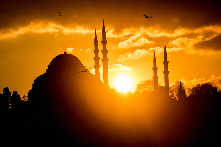 Efendimiz buyurdu: “Allah’tan istediğiniz zaman Firdevs’i isteyiniz. Çünkü orası cennetin ortası ve en yüksek yeridir.” Efendimiz’in bizlere buyurduğu gibi; Allah’ım bu gün senden Firdevs’e varan bir yolculuk murâd ederiz.
#BeratKandili