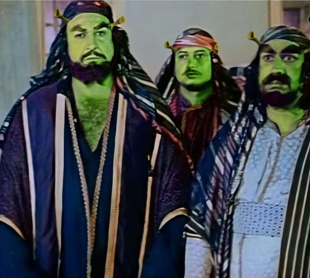 Connor_W4lsh's tweet photo. المshrekين https://t.co/BS64WGdziL