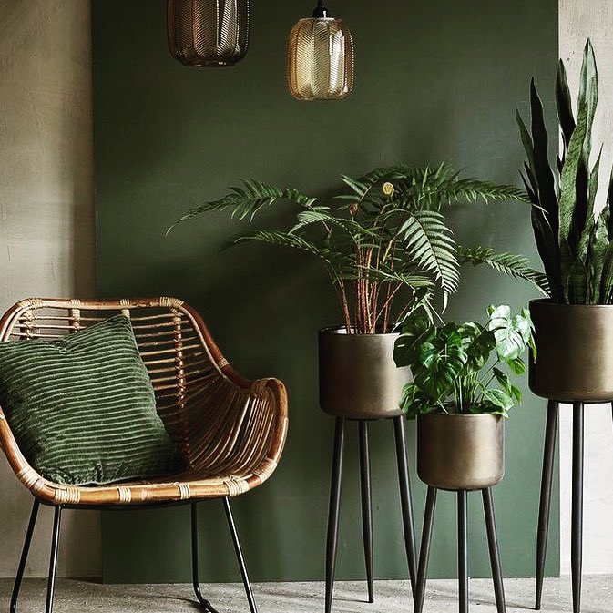 kdecorenov's tweet photo. Focus sur la nuance kaki qui est au top de la tendance !
Plébiscité dans nos intérieurs cette année le #kaki se révèle en apportant douceur et volupté.

#kdecorenov #altkrieger #decorationinterieur #peintreenbatiment #decoration #homestaging #deco #decoratrice #peinture https://t.co/z4wuu46ZlD