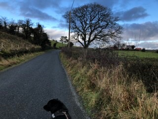 FitFunAdventures tweet media