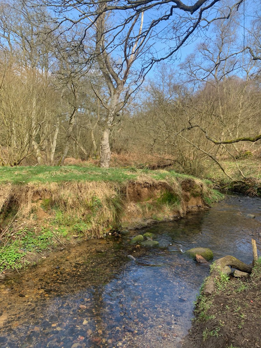 artdirectionk's tweet photo. Exploring Waldridge Fell in stunning County Durham then onto Lumley Castle @DurhamCouncil @CoDurhamHour @NaturalEngland @LumleyCastleLtd #CoDurham #ChesterLeStreet #LoveDurham #ThirdLockDown #NorthEastEngland https://t.co/HG5B4yc1XB