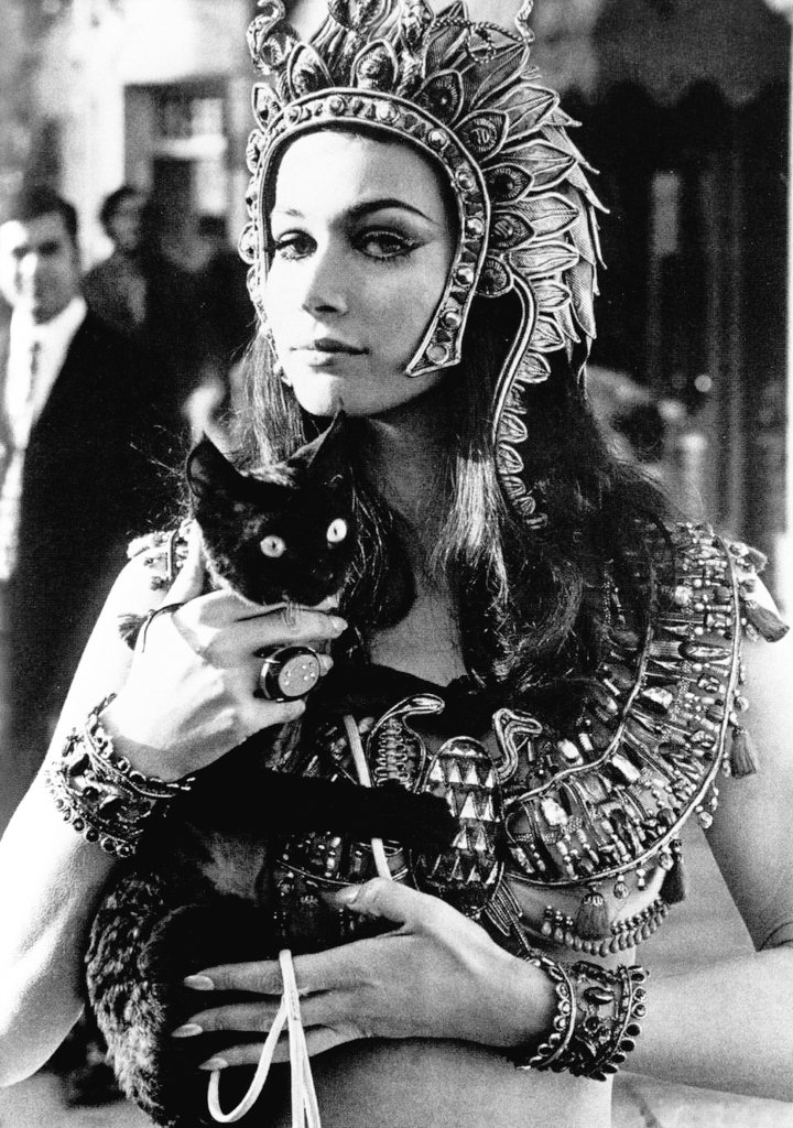 DamesandDogs's tweet photo. #ValerieLeon and #Puddy 'Blood from the Mummy's Tomb' (1971) #HammerHorror https://t.co/pHbWw8e1p3