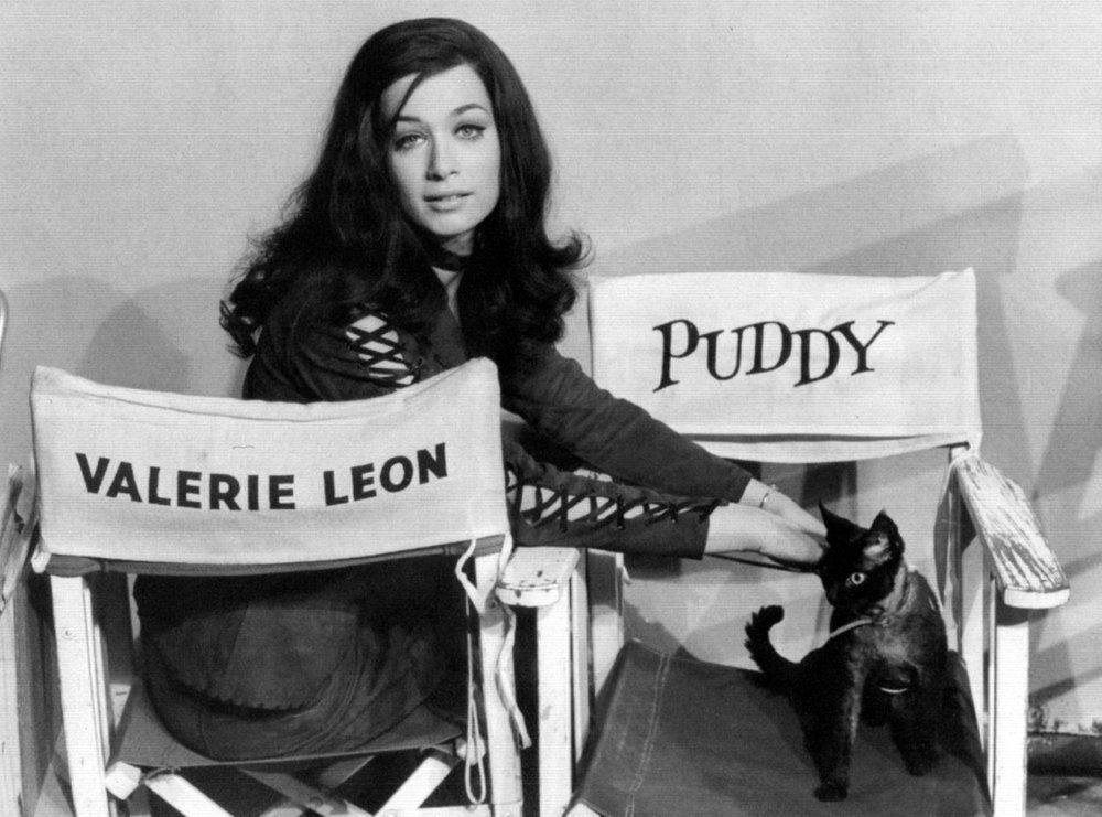 DamesandDogs's tweet photo. #ValerieLeon and #Puddy 'Blood from the Mummy's Tomb' (1971) #HammerHorror https://t.co/pHbWw8e1p3