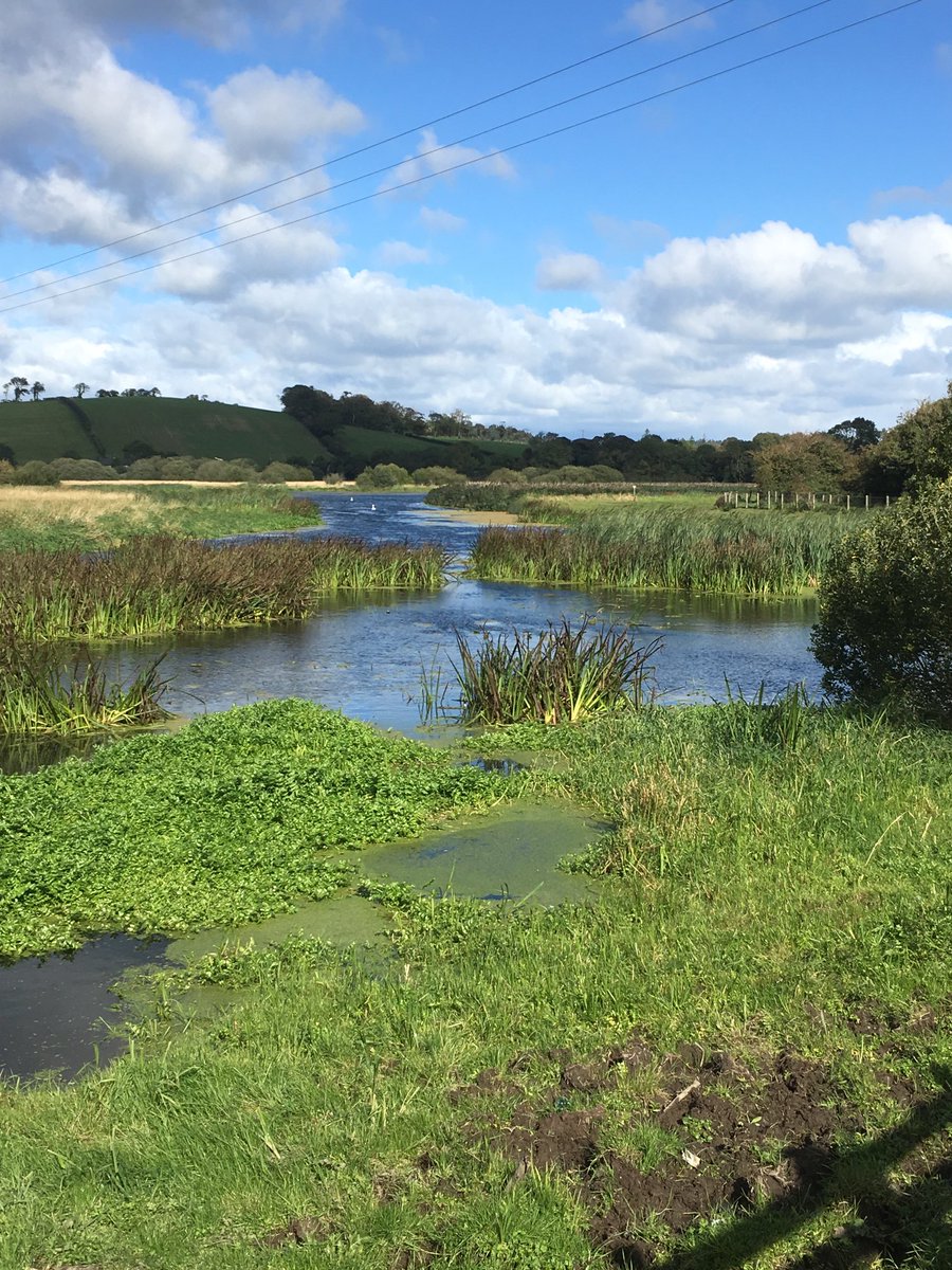 Olive (@pearldiver23) on Twitter photo Another wonderful celebration of #Waterways via <a href="/waterwaysstory/">Waterways Storymaking Festival</a> Festival 2020- beautiful showcase of the shortlisted work & my huge congratulations to overall winners: poetry <a href="/amywyattpoet/">Amy Louise Wyatt</a> prose Elizabeth McNeill and
photography Adrian Winters - wonderful. Another wonderful celebration of #Waterways via <a href="/waterwaysstory/">Waterways Storymaking Festival</a> Festival 2020- beautiful showcase of the shortlisted work & my huge congratulations to overall winners: poetry <a href="/amywyattpoet/">Amy Louise Wyatt</a> prose Elizabeth McNeill and
photography Adrian Winters - wonderful.