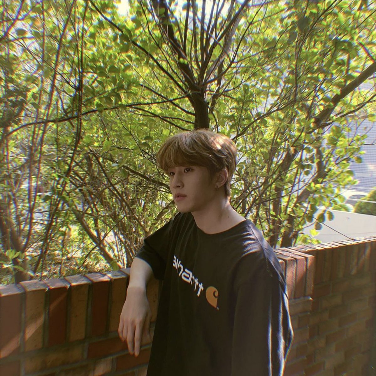 withjinwoo_com's tweet photo. 🔗https://t.co/RauWkOWgqY

🌿💫
#아스트로 #ASTRO #진진 #JINJIN @offclASTRO https://t.co/QRSNcZ0iOB