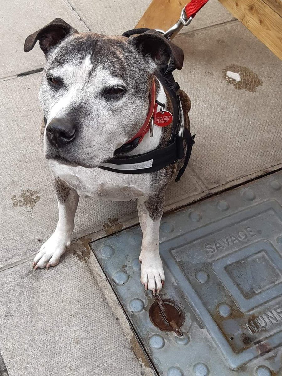 SeniorStaffy tweet picture