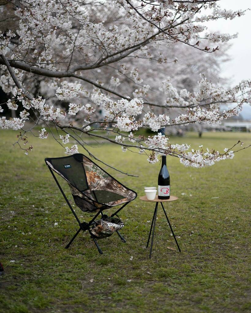 Helvetica_'s tweet photo. お花見チェアリング🌸🍷 
wasaraの猪口chokoにワインを注いで。

#チェアリング #chairing #alexandrebain #wine #京都 #kamoriver #helinox #wasara #wasarachoko https://t.co/6pKQ0IeGsS https://t.co/2AFPZIDLzc