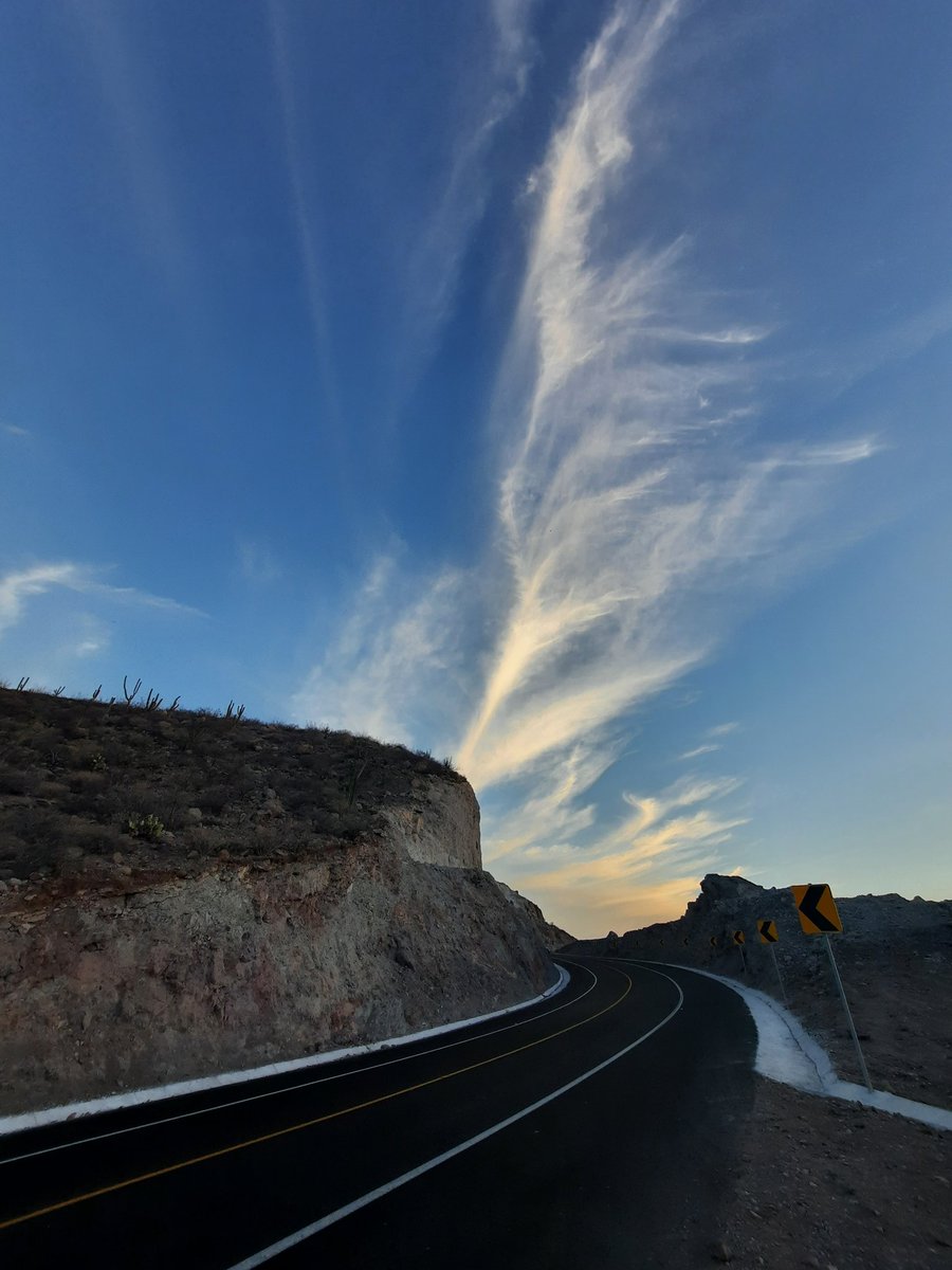 etLitha's tweet photo. Rutas paceñas...🌵
#ILoveBCS #LaPazBCS https://t.co/6zBhosBNAB