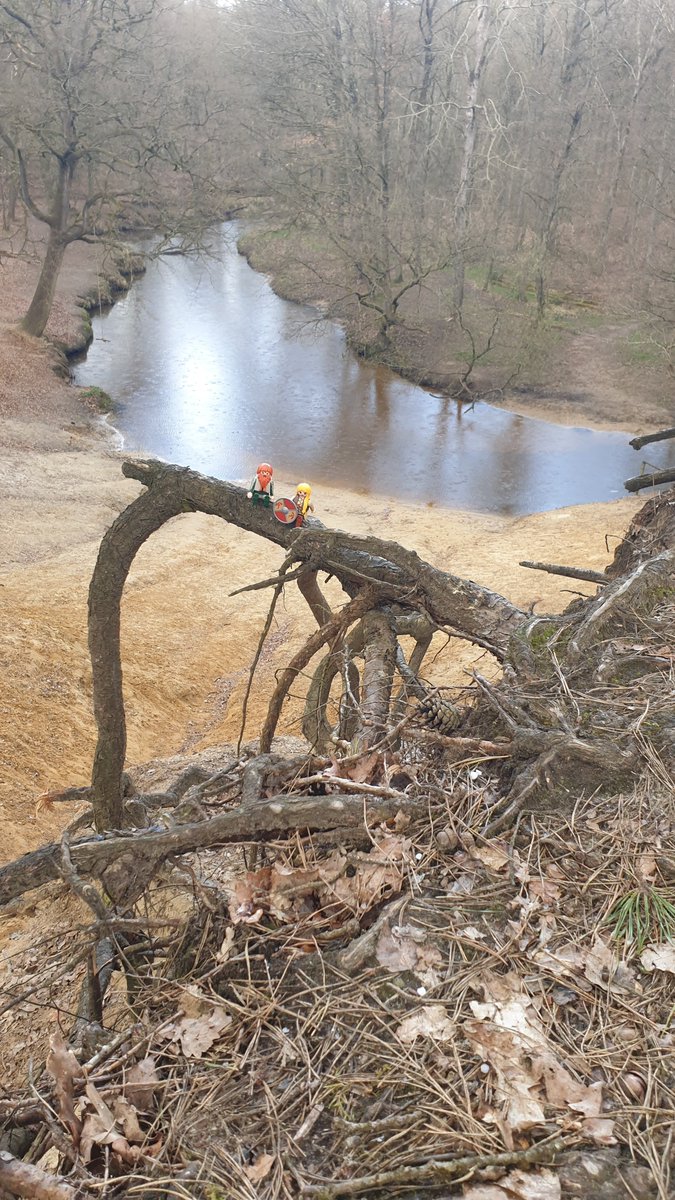 hansarnhem's tweet photo. Vanochtend zijn @DafnevdMeer en ik gaan hardlopen bij Leudal voor de #waypointchallenge.
Wat een mooi gebied weer, beversporen, klein beetje op en neer, HAGEL en zonneschijn. https://t.co/wcsJ3BIHYu