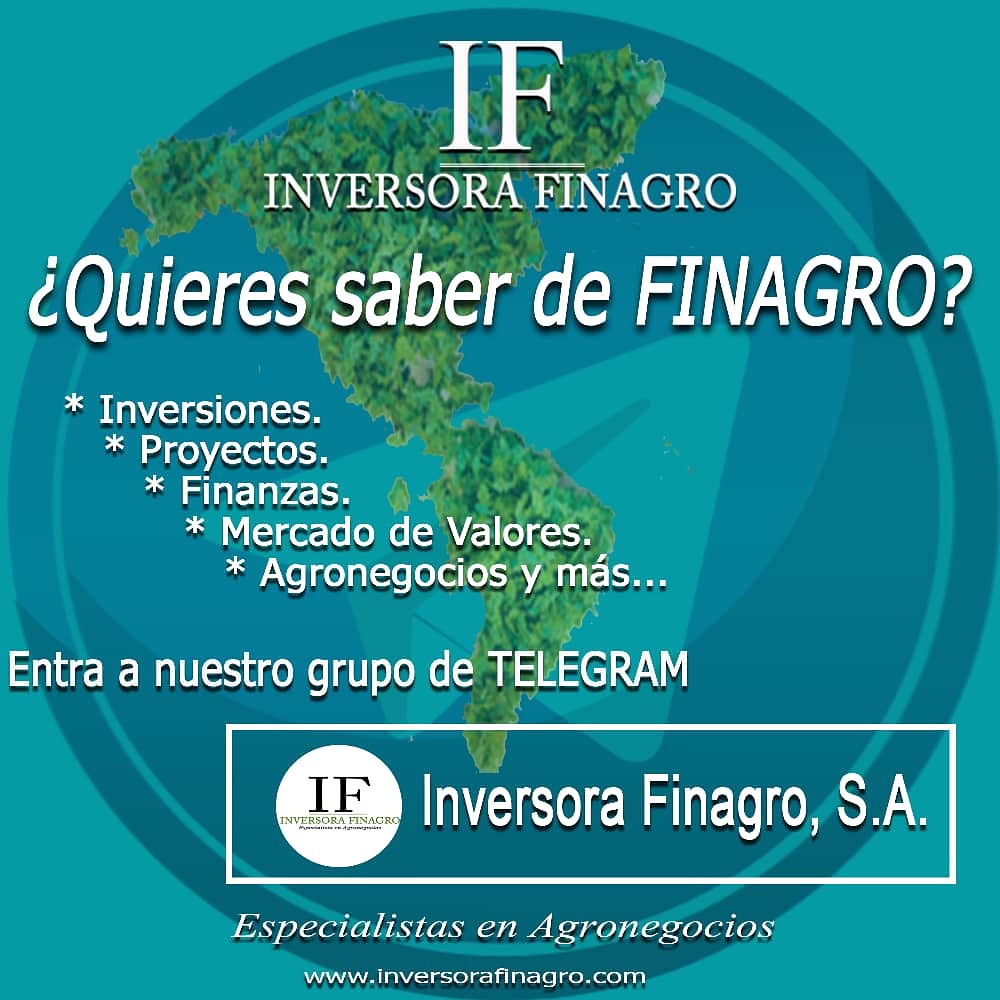 Venellano2's tweet photo. Te invitamos a formar parte de nuestro grupo de #telegram y conocer mas de la Primera Inversora Especializada en el #agronegocio en #Venezuela 
Inversora Finagro, S.A.
https://t.co/uOQ7KQ0L6R
#inversorafinagro #EcosistemaAgroFinanciero #Bolprinagro #siembra#finanzas #agriculture https://t.co/pizy8o1Flb
