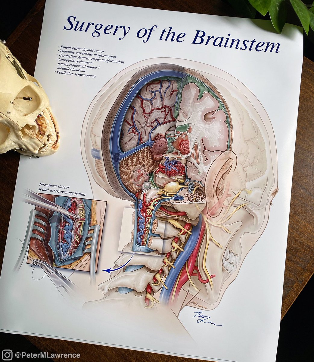 Peter M. Lawrence tweet media