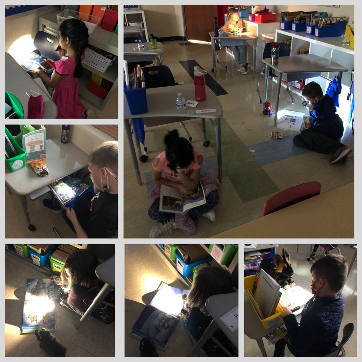 A7teacher's tweet photo. Flashlights, Books, &amp; Favorite Stuffed Animals, oh my! A great end to a GREAT Right to Read Week. THANK YOU @HudsonPTO!!! B15 Readers had so much fun! ❤️🔦📚🐻🌎 #TheHill #OneWorldManyStories #ReadersareLeaders https://t.co/hnJYfzlh1n