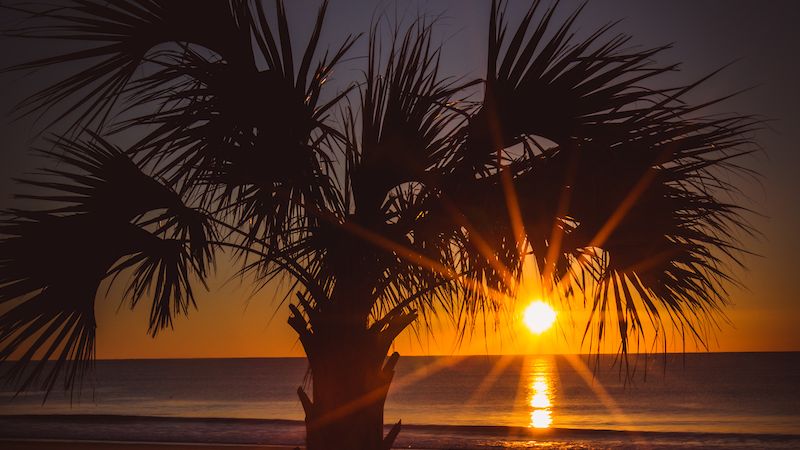 What could be finer than waking up in Myrtle Beach, South Carolina? ❤️