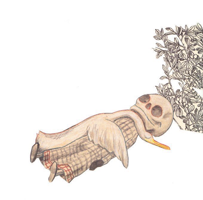 A duck strikes up an unlikely friendship with Death in the Children's book "Duck, Death and the Tulip" by German author Wolf Erlbruch.