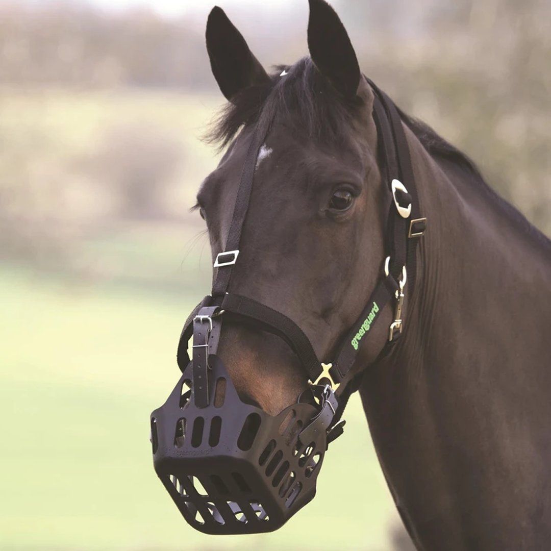 The Shires Greenguard Muzzle is one of the most popular grazing muzzles, it is ideal for controlling excess weight or the risk of laminitis. 🐴

<a href="/Shires1/">Shires Equestrian</a> 

Shop Now- ow.ly/KS8H50E8kBN

#equus #equusengland