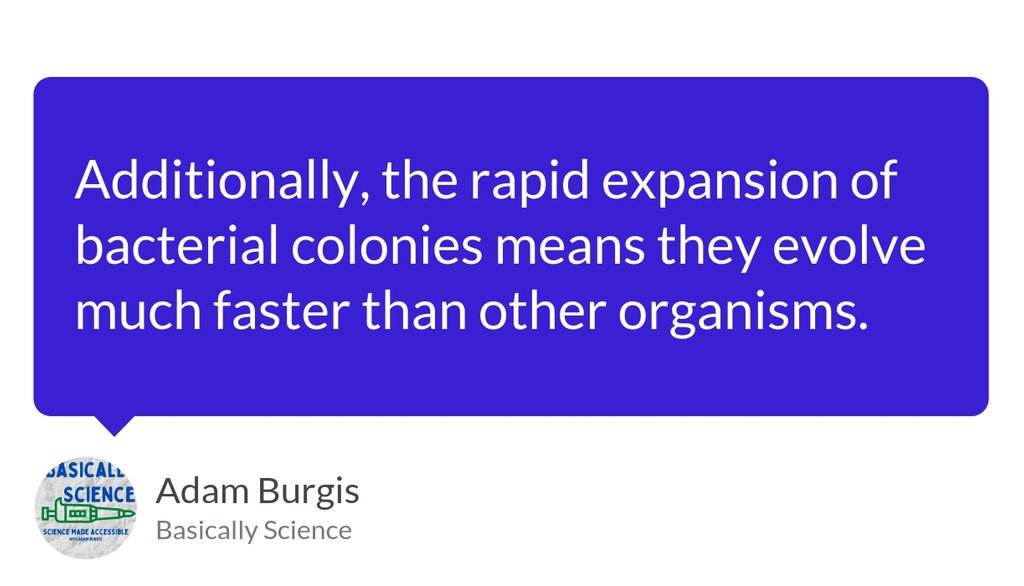 ScienceBasicPod's tweet image. Fast Fact!

Read the full article: Drugs and Superbugs!
▸ lttr.ai/e3ee

#AntibioticResistantSuperbugs #MRSAandsuperbugs #Bacteria #BSPN