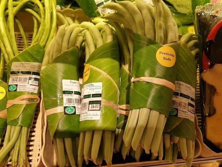 LicypriyaK's tweet photo. Hope you will love this solution to single use plastics. 🙏🏻 https://t.co/pnLiAXME3Y