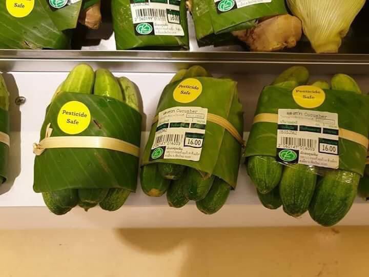 LicypriyaK's tweet photo. Hope you will love this solution to single use plastics. 🙏🏻 https://t.co/pnLiAXME3Y