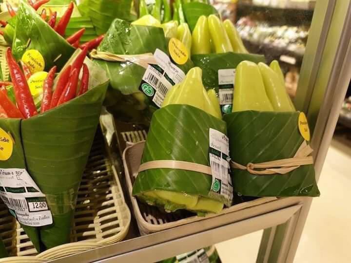 LicypriyaK's tweet photo. Hope you will love this solution to single use plastics. 🙏🏻 https://t.co/pnLiAXME3Y