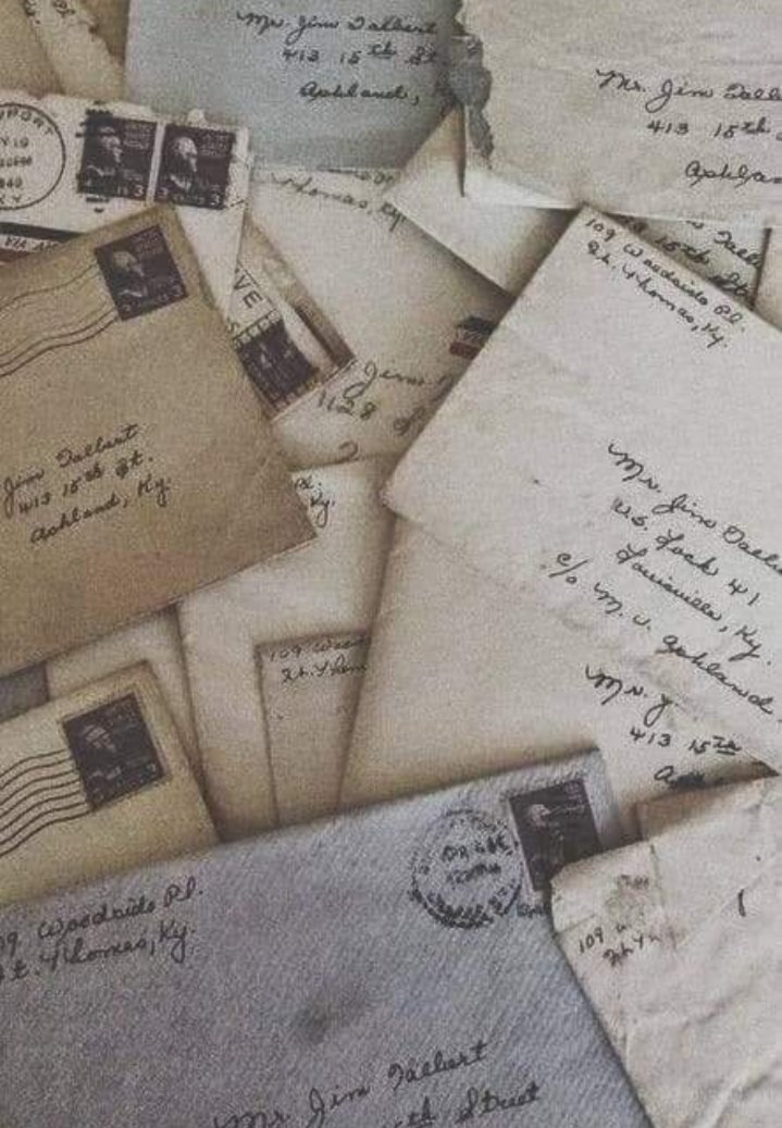 zrnsh || tweet media