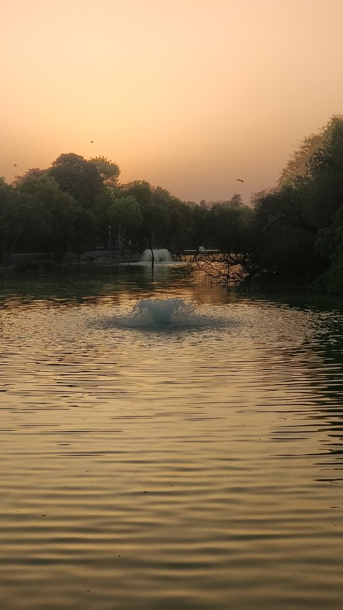 shanar68's tweet photo. #beautiful vignettes from #SaadiDilli
#DeerPark #HauzKhas https://t.co/wfaf2qm5xB
