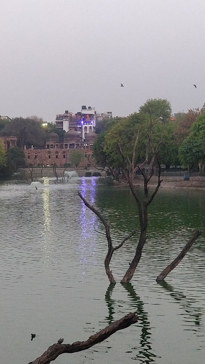 shanar68's tweet photo. #beautiful vignettes from #SaadiDilli
#DeerPark #HauzKhas https://t.co/wfaf2qm5xB