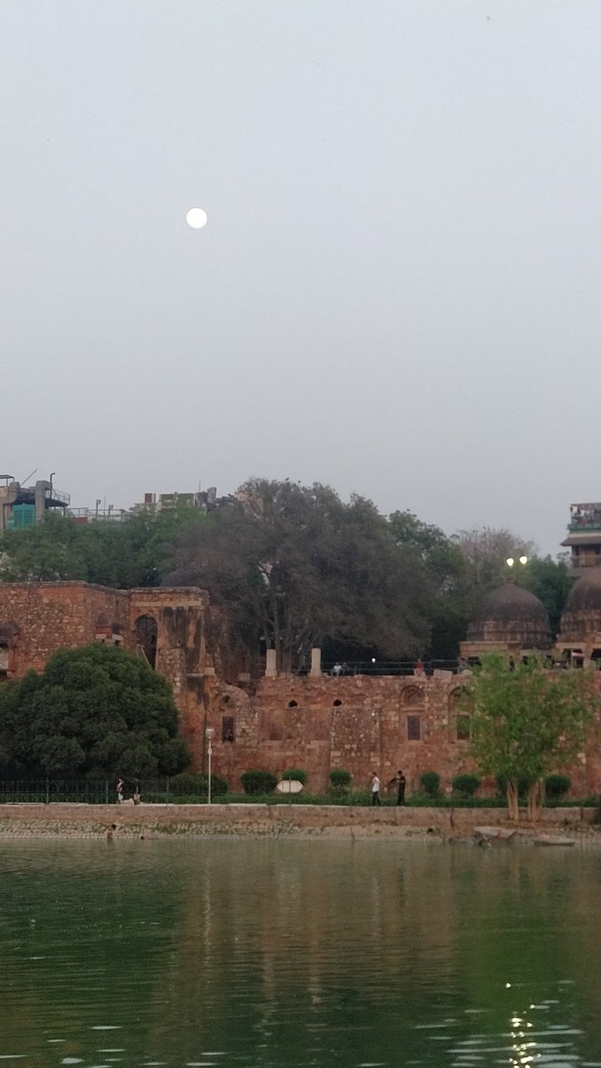 shanar68's tweet photo. #beautiful vignettes from #SaadiDilli
#DeerPark #HauzKhas https://t.co/wfaf2qm5xB