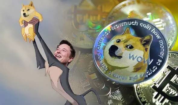 sam33872230's tweet photo. @twomad I wanna have offer for you

==>> coingive  net

join us and enjoy! https://t.co/C9OGf0VU9S
