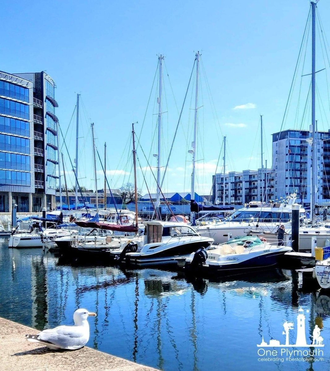 One Plymouth tweet media